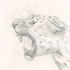 leoparden